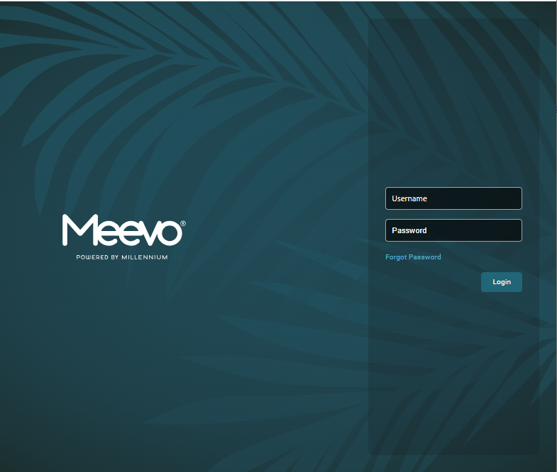 Meevo 2025 March Draft Release Notes
